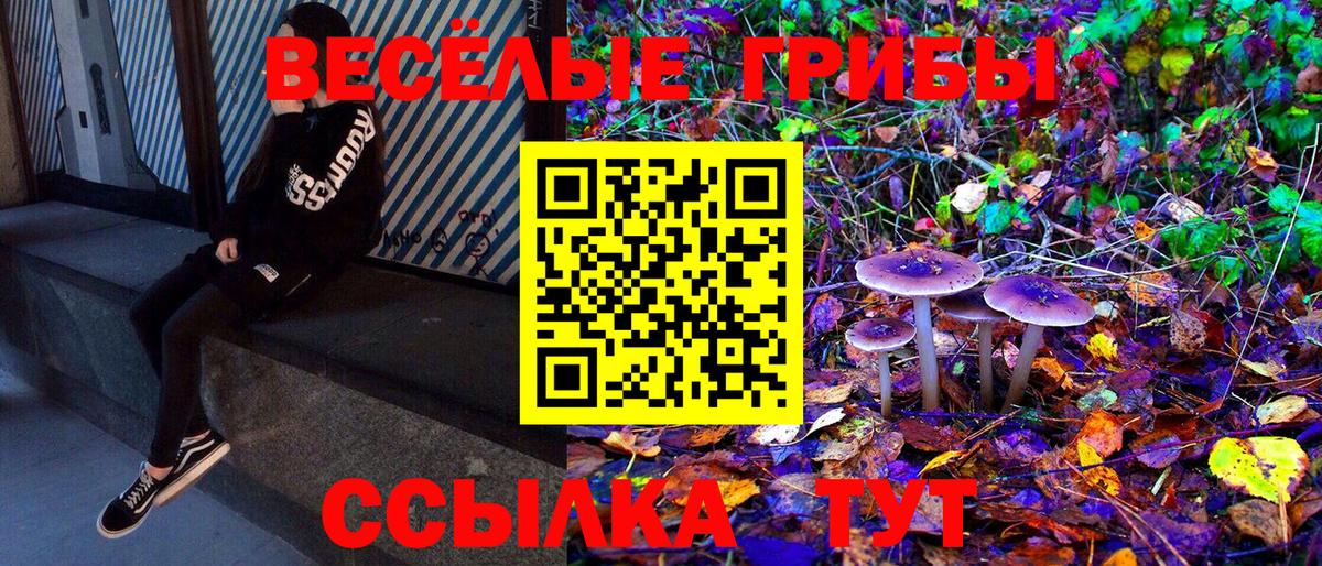 Галлюциногенные грибы Psilocybe  Вход с VPN  Омск 