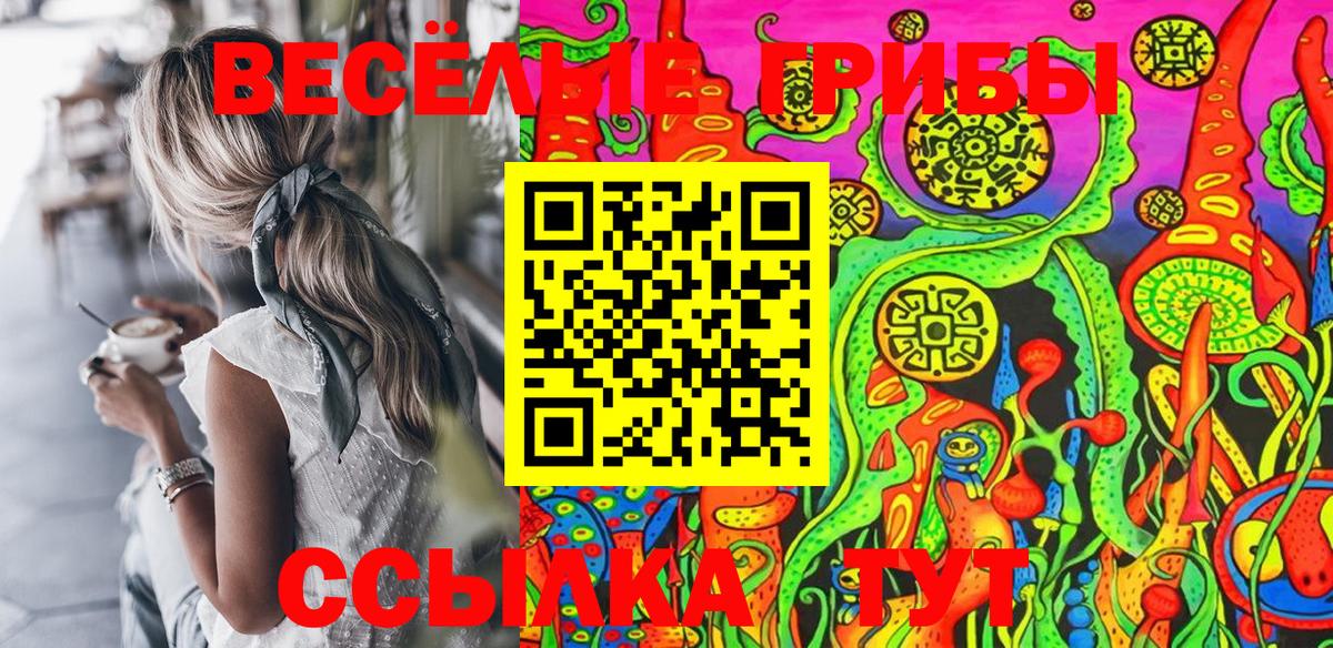 Псилоцибиновые грибы прущие грибы Омск